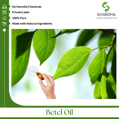 Betel Oil - Age Group: All Age Group