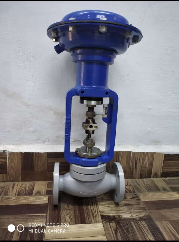 Industrial Thermic Fluid Control Valve - Application: Water