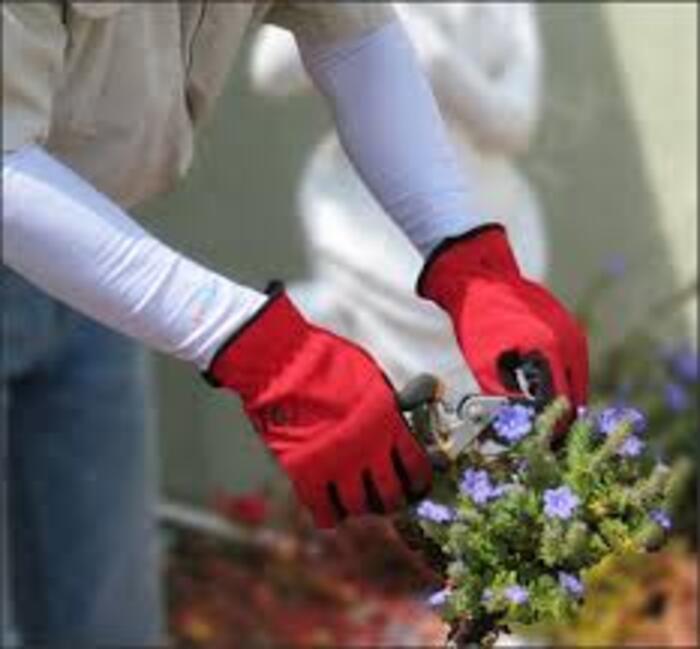 Arm Protector & Hand Protector - Color: Blue