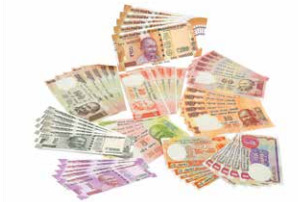 Dummy Currency Note - Color: Multi Color