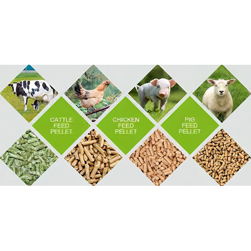 Animal Feed at Best Price in Kolkata, West Bengal | Precision Laboratories