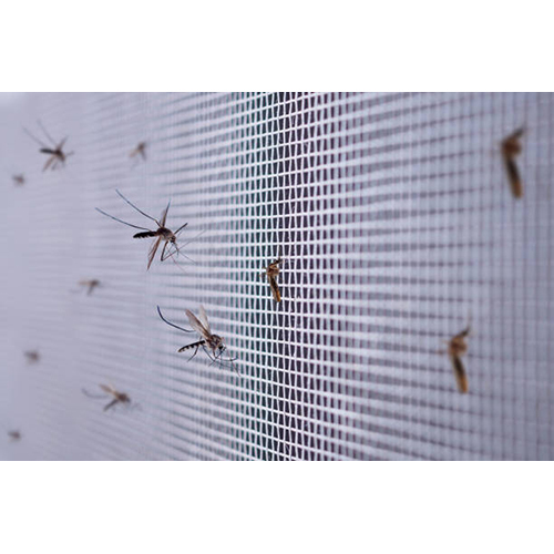 Pleated Mosquito Net - Age Group: Adults