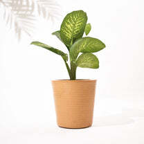 Rib Bucket Tower Rotomolded Planters - Color: Various Available