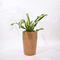 Cylindro Floor Planter - Color: Various Available