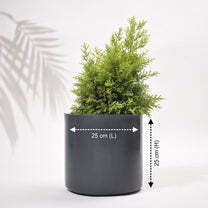 Cubical Round Big Flower Pot For Living Room - Color: Various Available