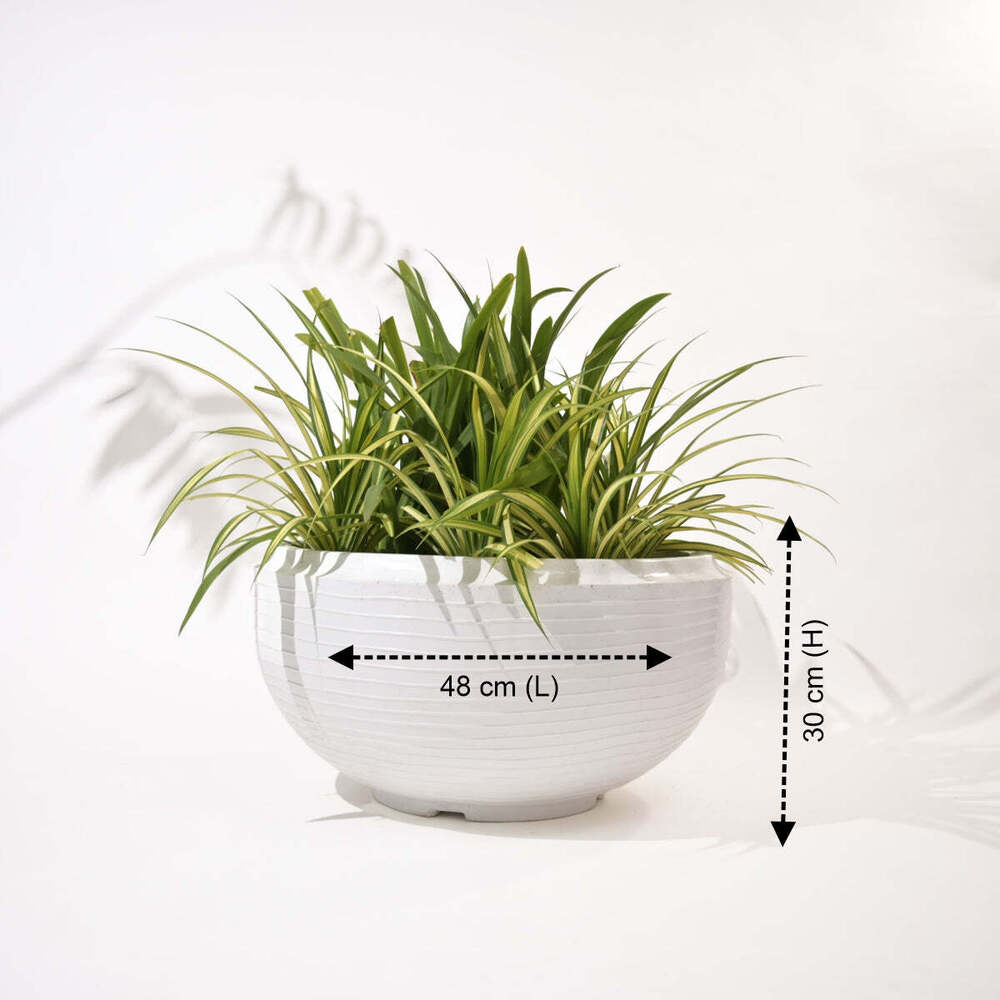 Rib Tasla Plastic Hanging Flower Pots - Color: Various Available