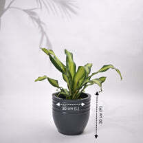 Rib Oval Small Planters - Color: Various Available