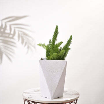 Diamond Garden Planters - Color: Various Available