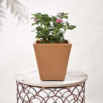 Bent Block Big Planters For Living Room - Color: Various Available