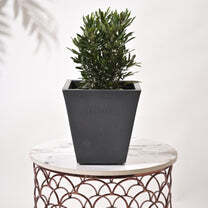 Bent Block Big Planters For Living Room - Color: Various Available