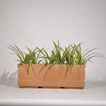 Trow Rectangular Planter For Garden - Color: Various Available