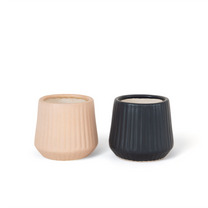 Pander Plants Pot For Bedrooms - Color: Various Available