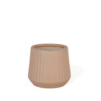 Pander Plants Pot For Bedrooms - Color: Various Available