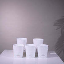 Sprout Self Watering Planters For Office Table - Color: Various Available