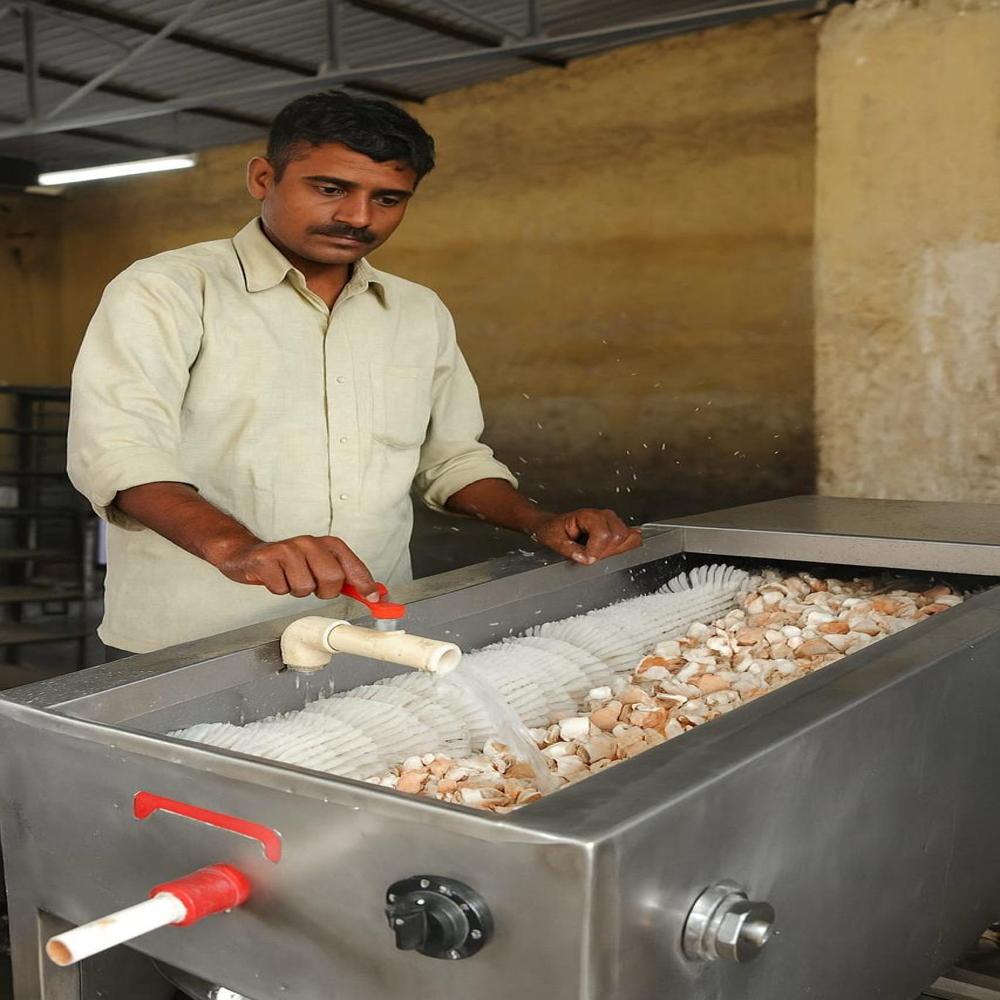 Egg Shell Calcium Powder - Calcium Material, Natural Size | 99% Purity, Versatile Industrial Applications, 6-12 Months Shelf Life