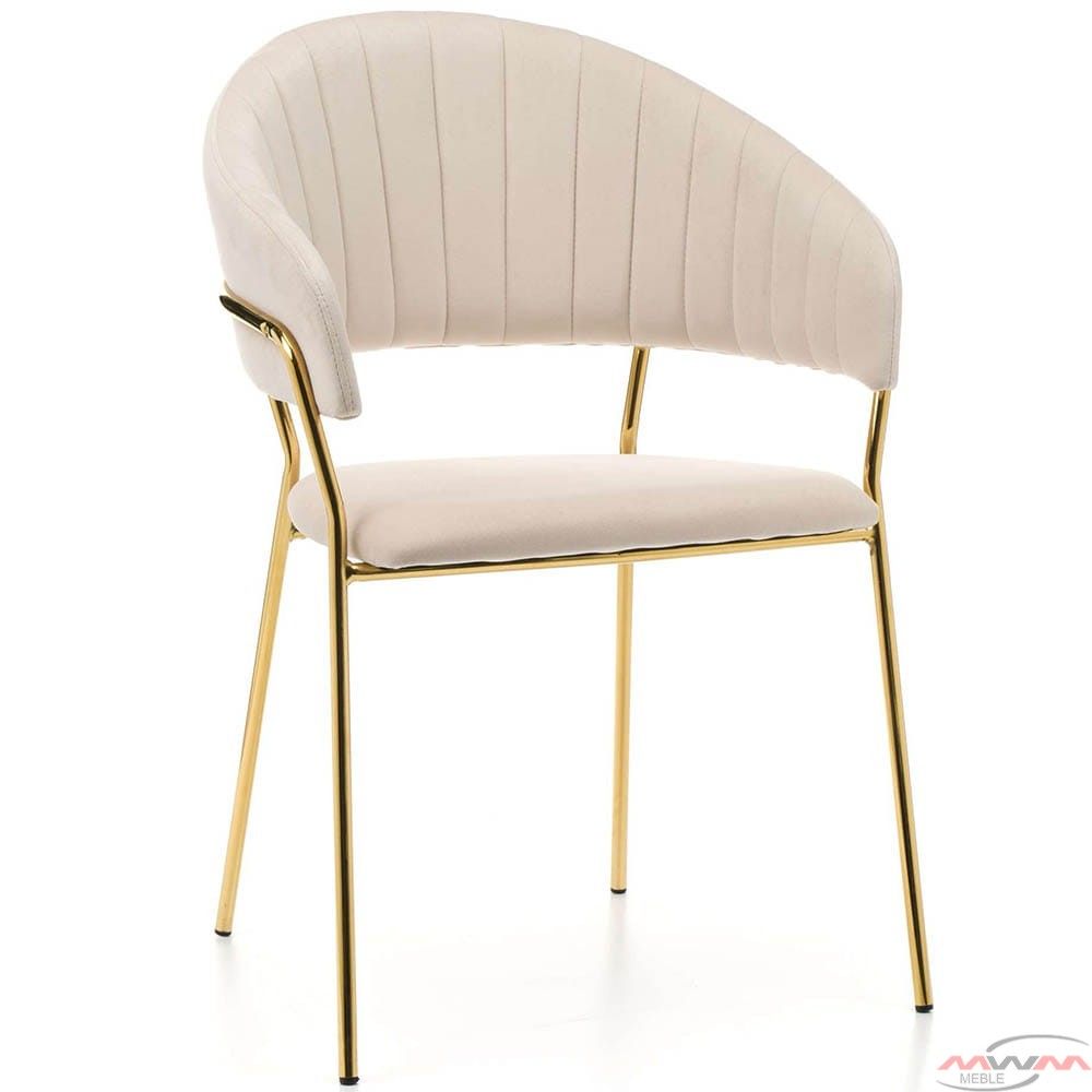 Cafe Chairs - Stainless Steel, Custom Shape, One Seater | Modern Golden Finish, High Quality, Indian Style Indoor Seating