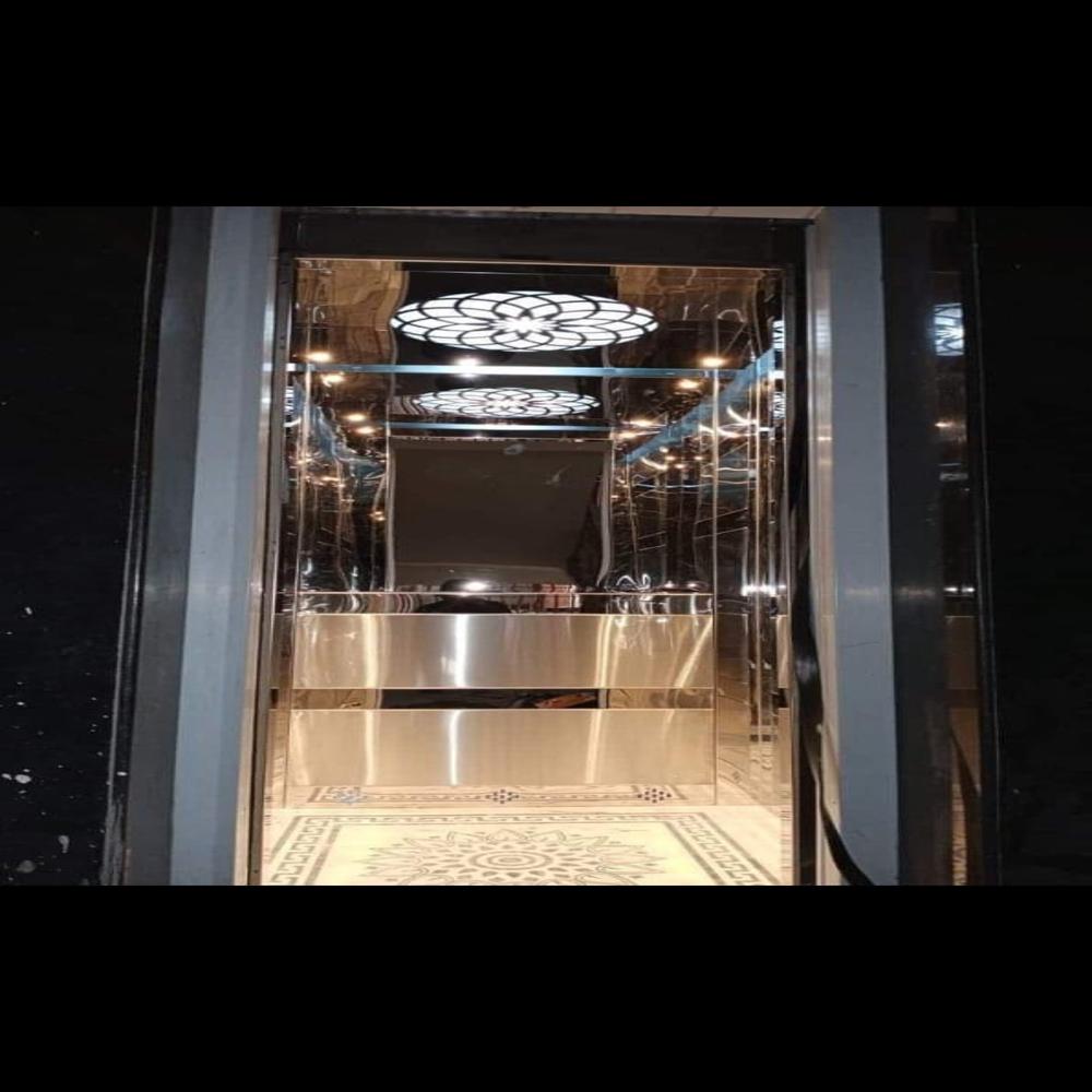Stainless Steel Car Elevator - Capacity: 1-2 Ton