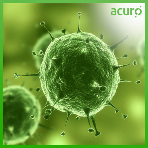 RO BIOCIDE DISINFECTANT