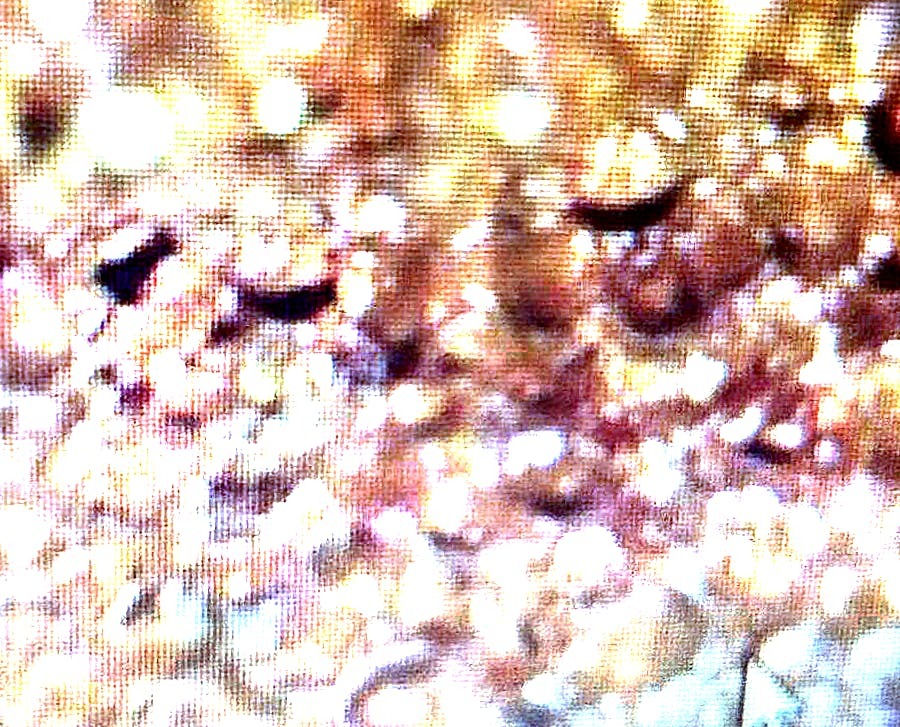 High Hardness Softener Resin - Application: Industrial