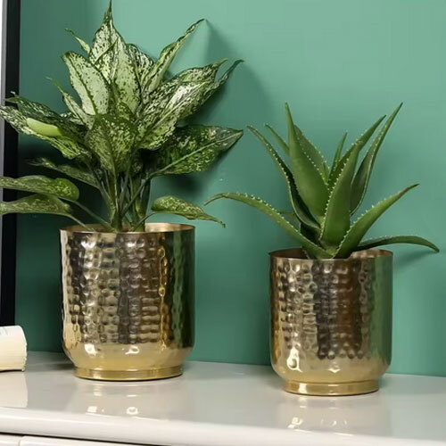 High Quality Perfect Shine Flower Metal Planters with Modern Matte Texture