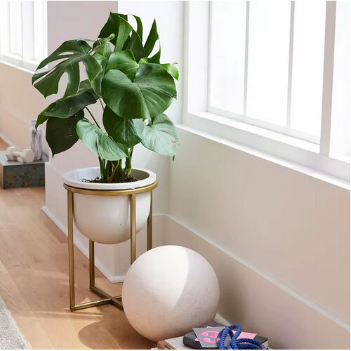 Premium Grade Lightweight Metal Planter With Smooth Shape And Plain Finish For Indoor Use From Indian Supplier - Finish: Hand Carved