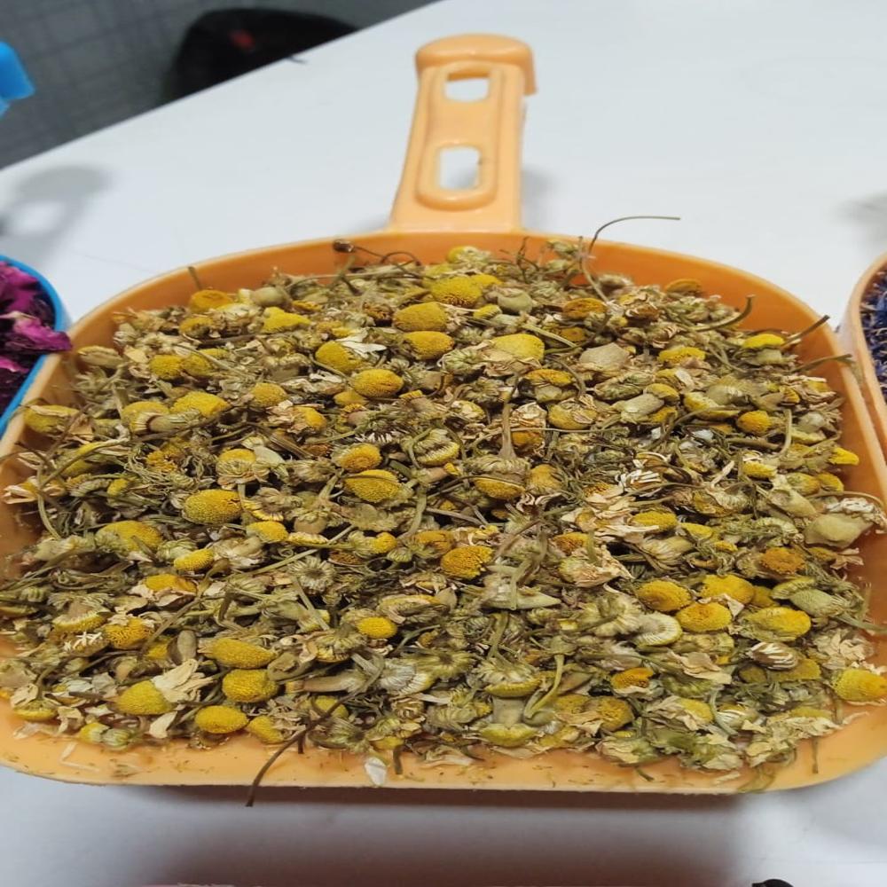 Chamomile Flower - Color: Yellows