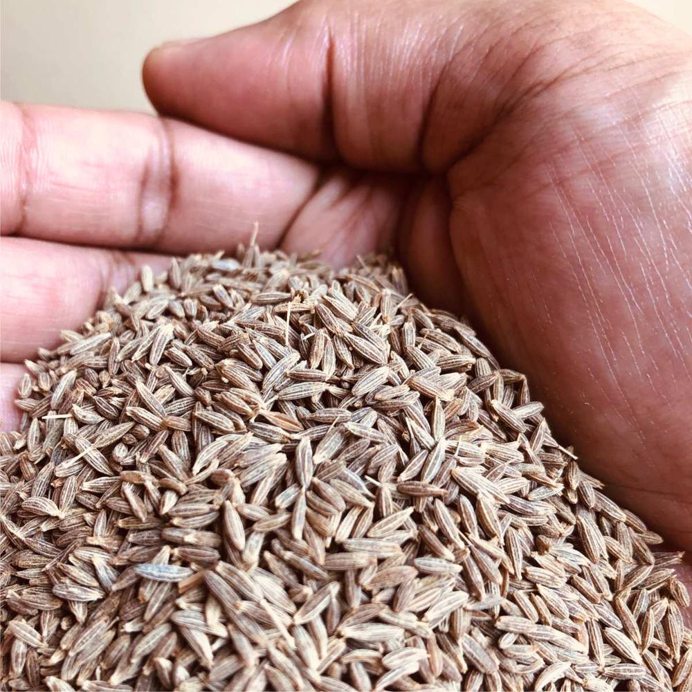 Cumin Seed - Raw Dried Spice, Natural Brown Color | Food Grade, Distinctive Flavor For Curries, Stews, And Soups