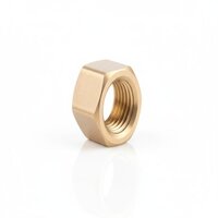 Brass Hex Nut - Application: Plumbing