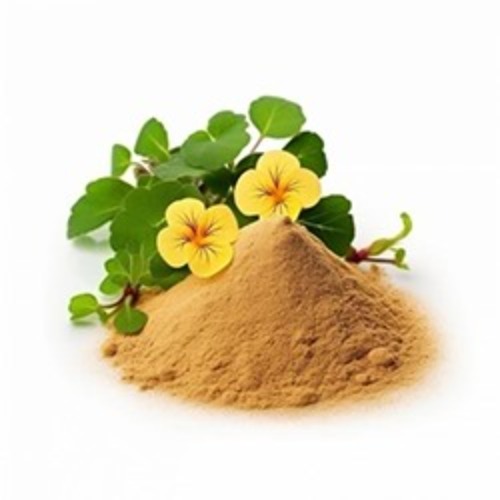 Bacopa 20% Baccoside