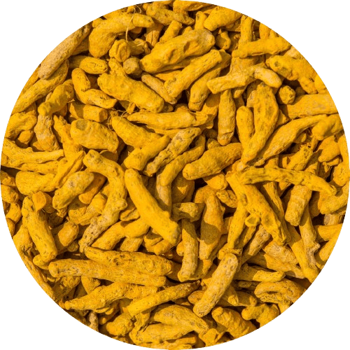 TURMERIC FINGER