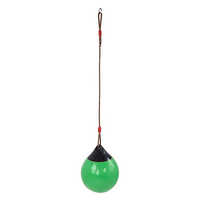 Junior Buoy Ball Swing - Color: Black Green
