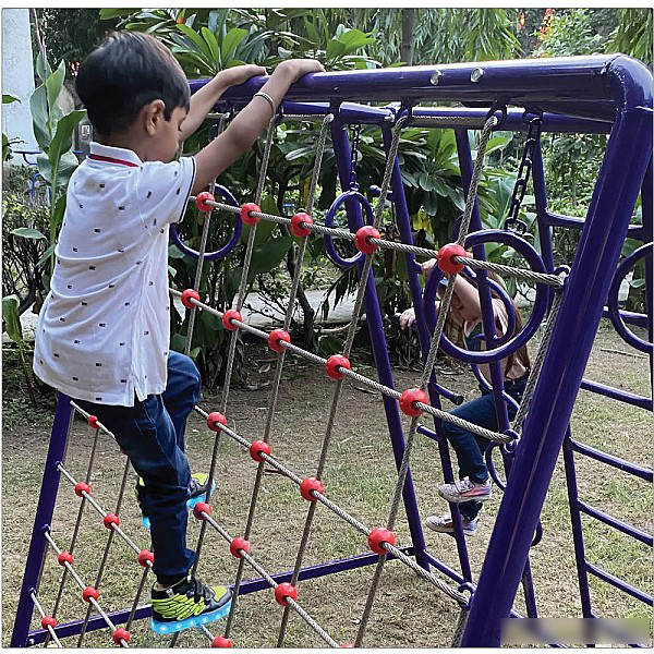 Multi Climber - Color: Purple