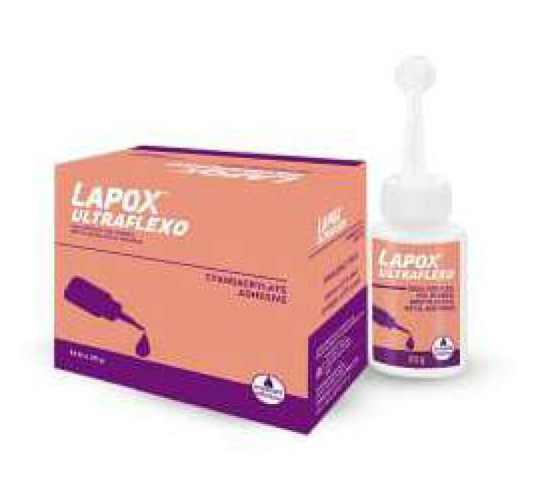 Lapox Ultaflexo Plastic Adhesive - Features: Water Resistance