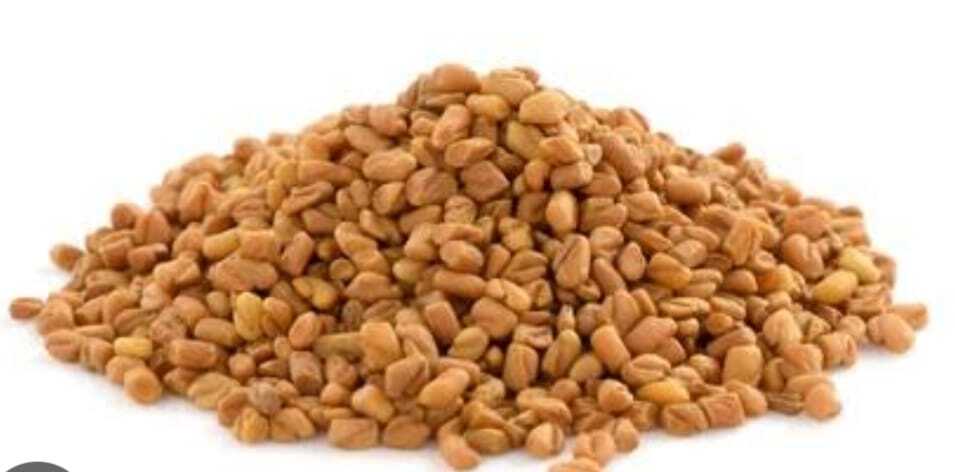 Fenugreek Seeds - Color: Natural