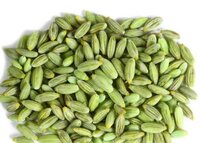 Fennel Seeds