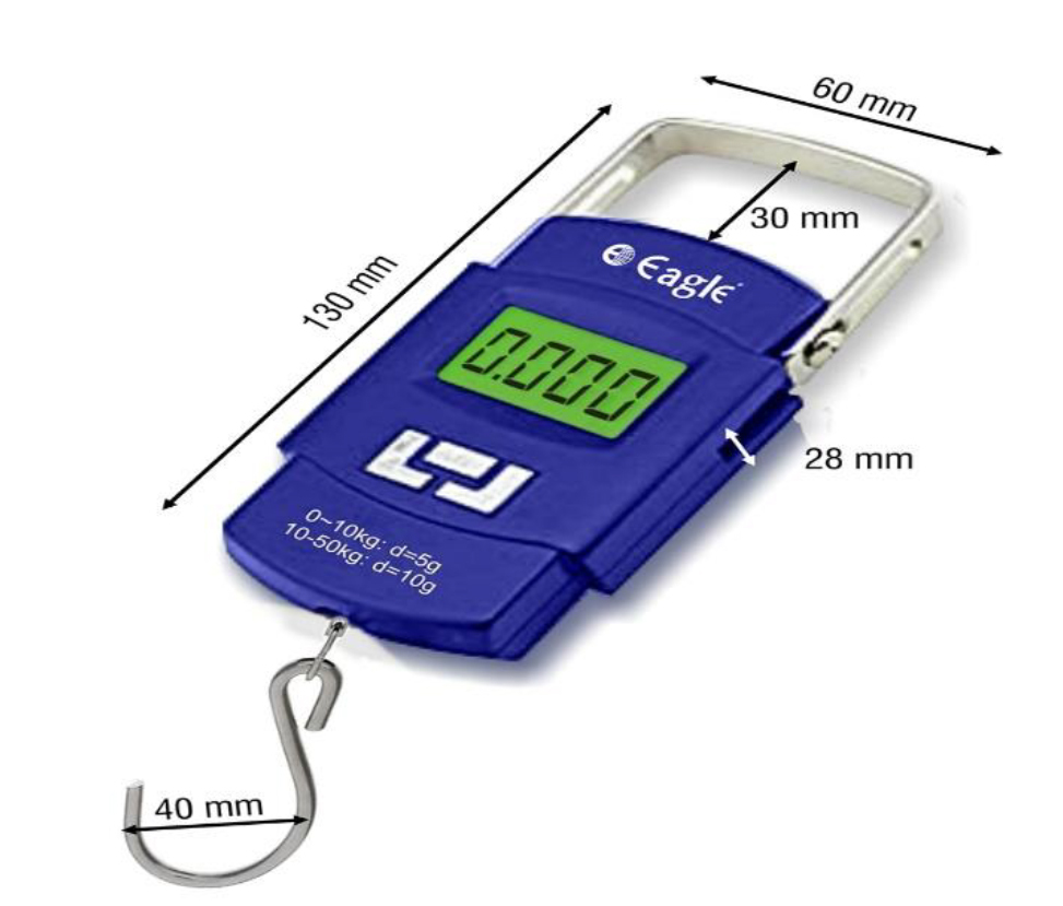 Ehs 101 Lifestyle Weight Scale - Automatic Grade: Manual / Semi Automatic