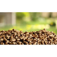 8mm Wooden Biomass Pellet