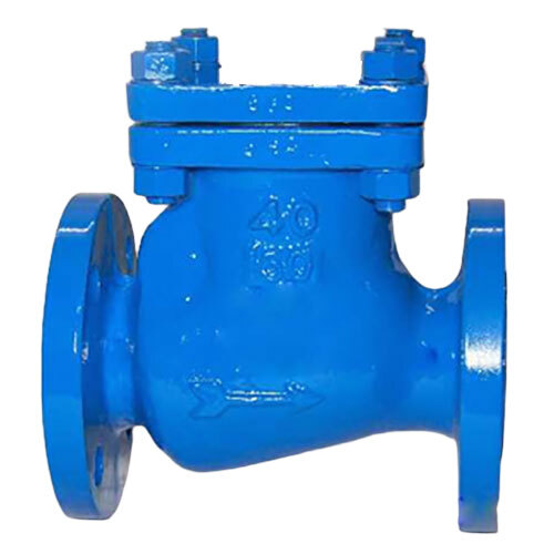 Ci - Cs - Ss 304 - Ss 316 Swing Check Valve Conventional - Color: Blue