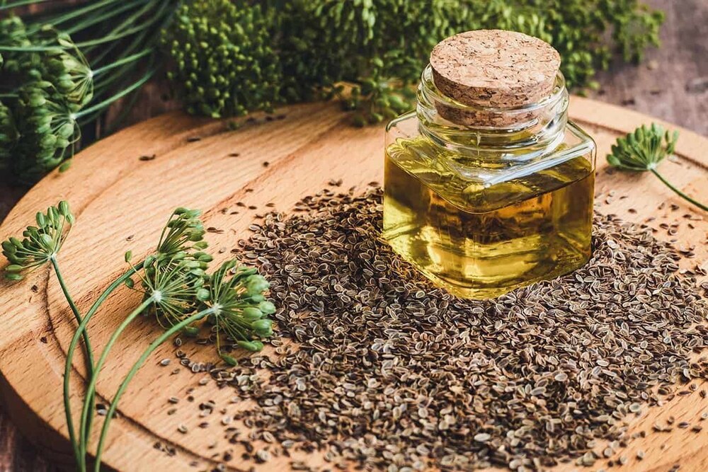Dilseed Essential Oil