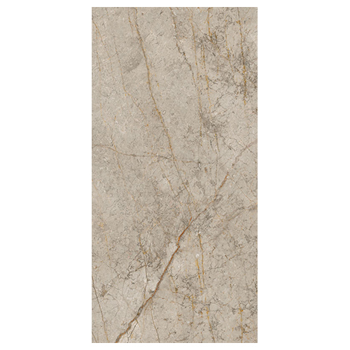 600X1200 Mm Adrine Mud Dark Gvt-Pgvt Carving Matt Floor Tile - Feature: Acid-Resistant