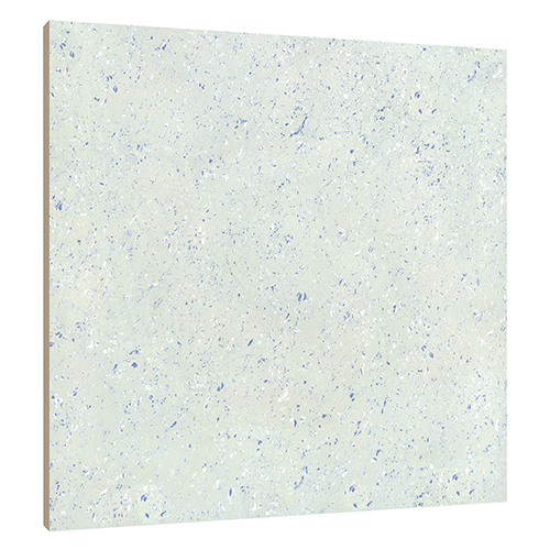 600x600 MM Rob Light Series Glossy Double Charge Tile
