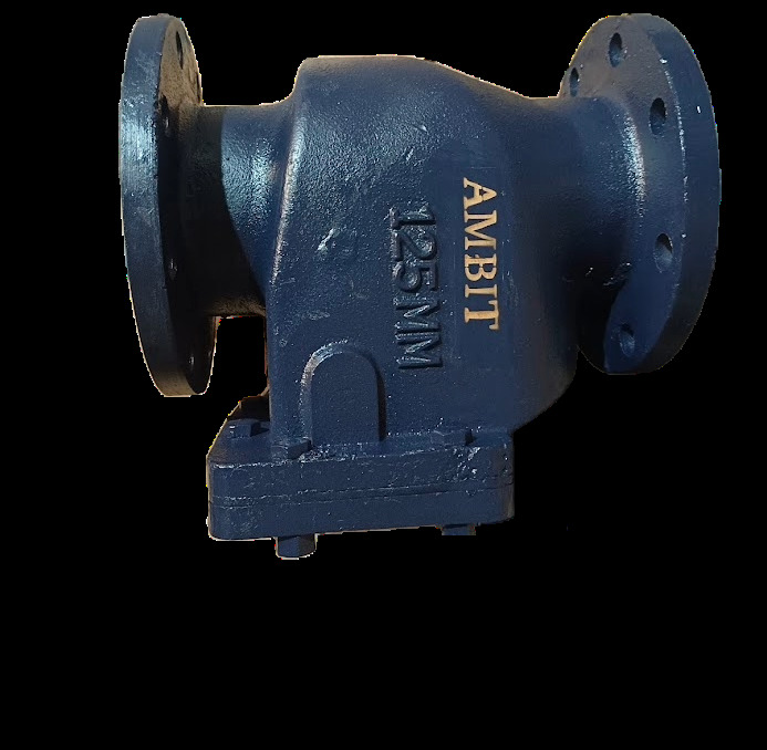 Cast Iron Swing Type Strainer - Color: Blue