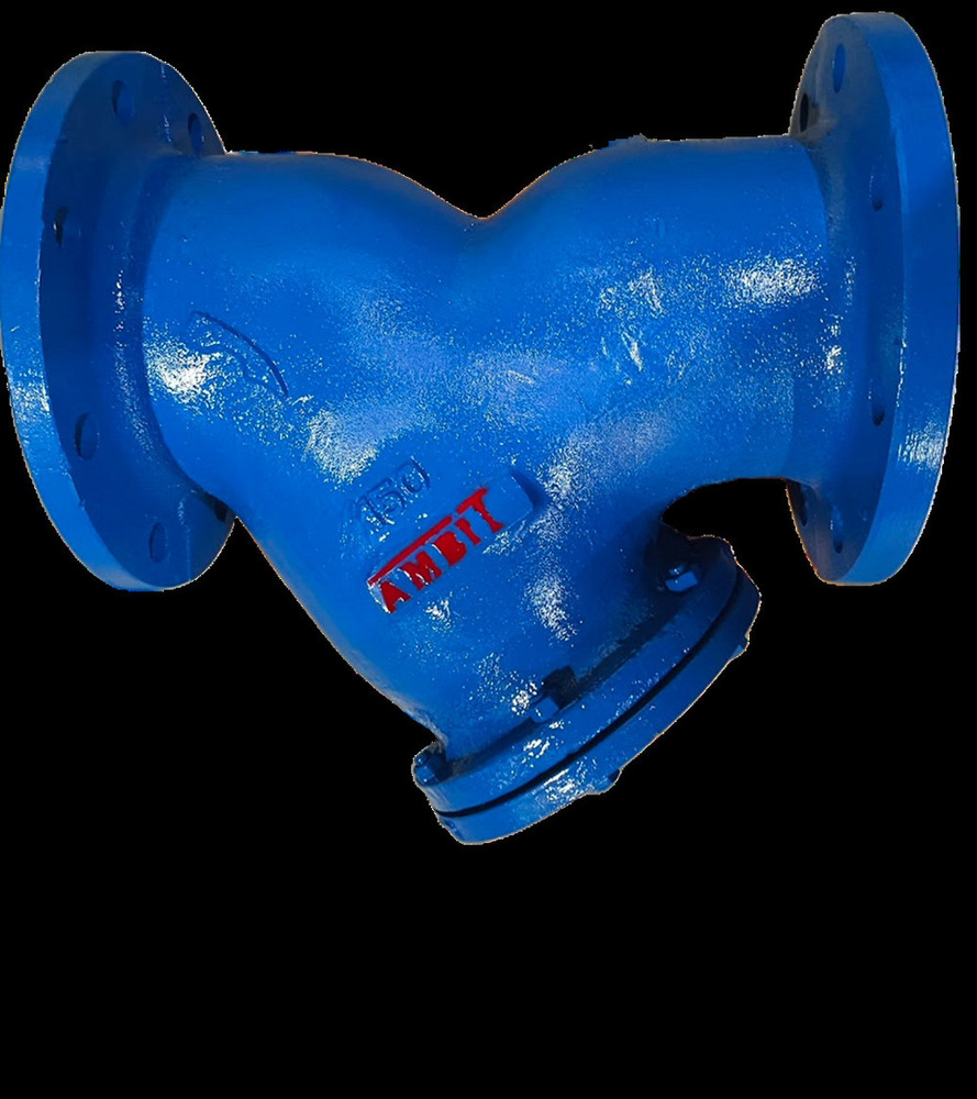 Cast Iron Y Type Strainer Flange End - Color: Blue