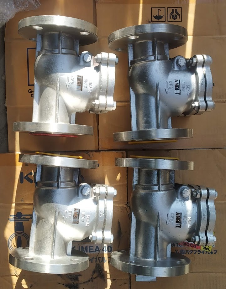 SS Swing type Check Valve
