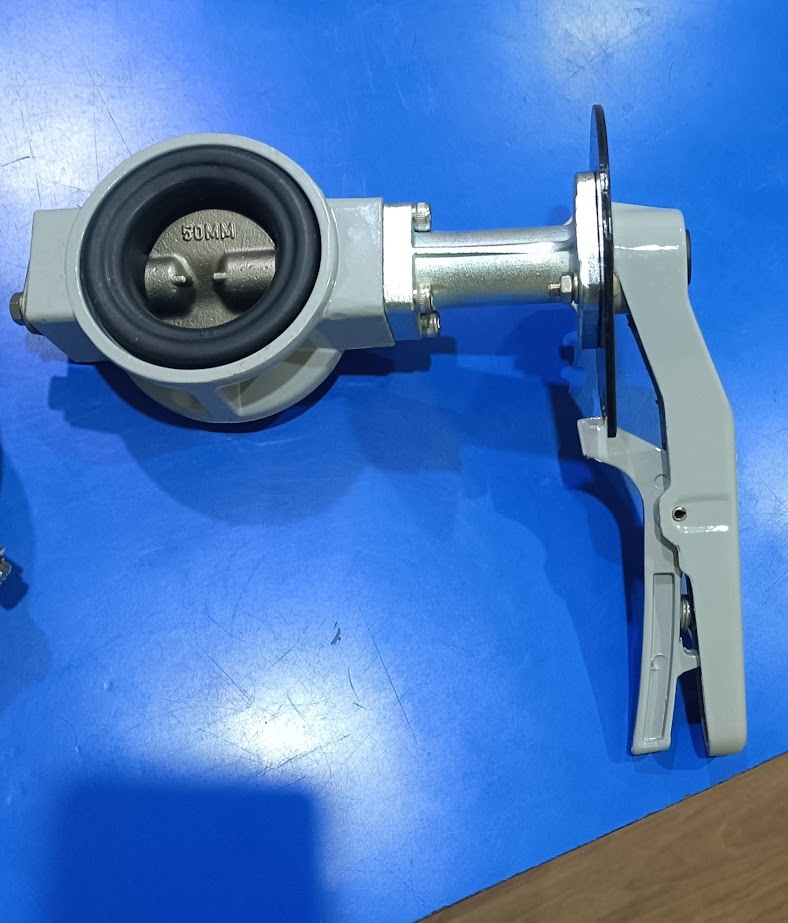 Butterfly Valves