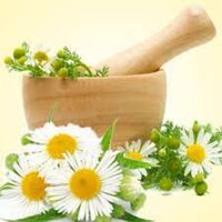 Chamomile Extract