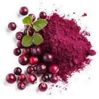 Cranberry Dry Extract 25% Proanthocyanidin