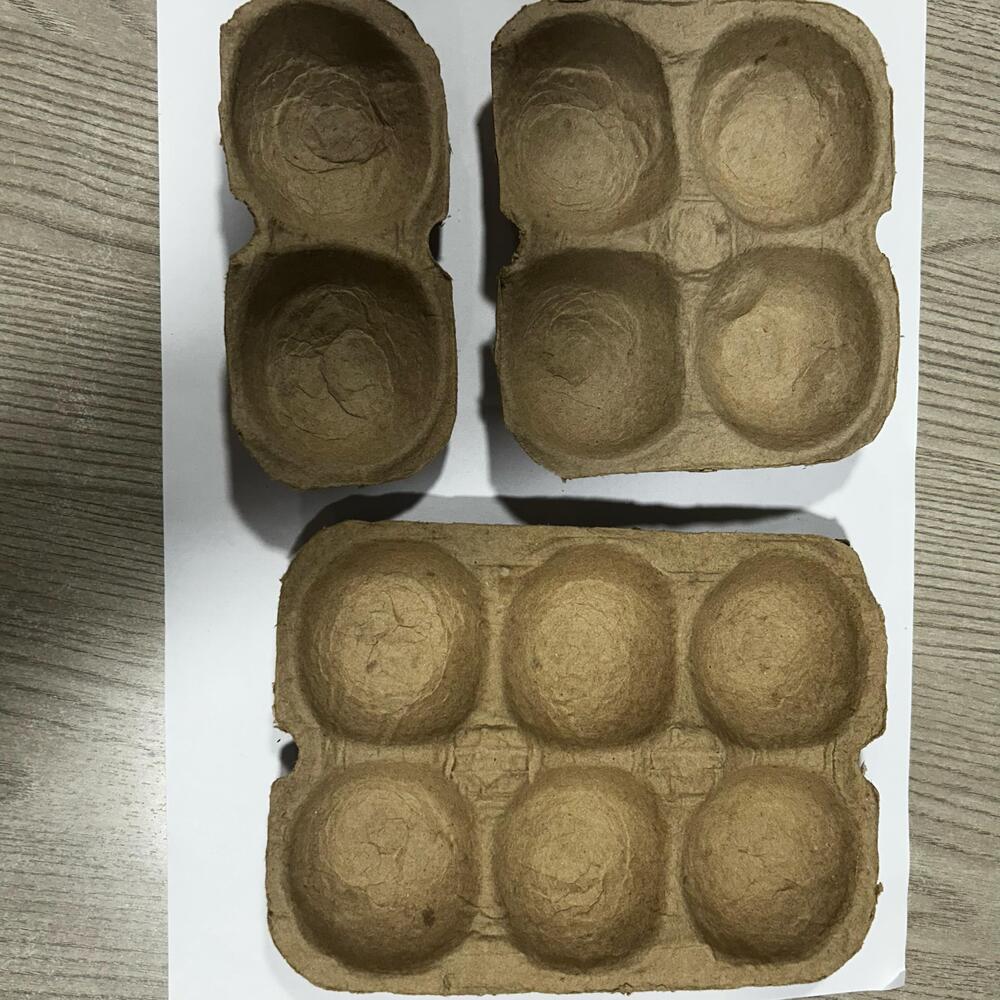 6 Pcs Apple Fruit Packaging Tray - Color: Brown