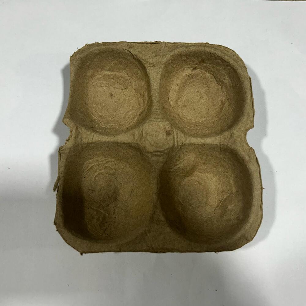 4 Pcs Apple Fruit Packaging Tray - Coating Type: Pe Coated