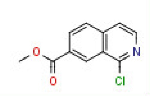 Methyl 1-chloroisoquinoline-7-carboxylate